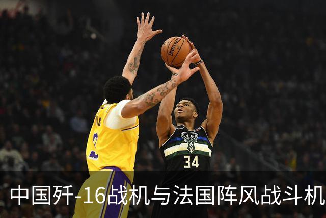 中国歼-16战机与法国阵风战斗机同场竞技
