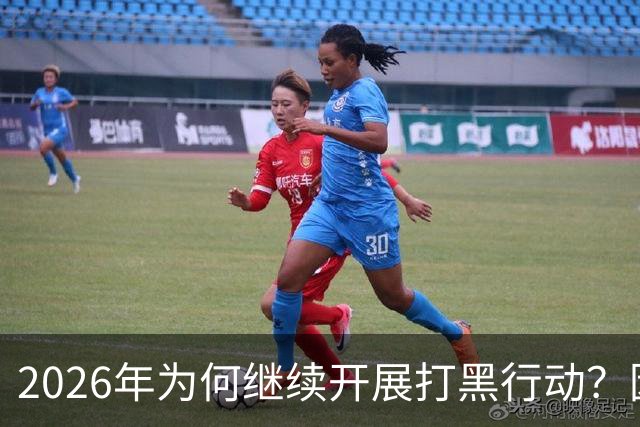 2026年为何继续开展打黑行动？因为还有那些隐秘的黑恶势力